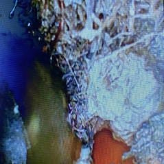 drain cleaning southwest mi service for tv video inspections of sewer and drains