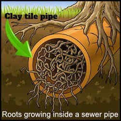 drain cleaning a clogged sewer in battle creek this is common to have roots inside a sewer pipe that is a clay tile sewer main