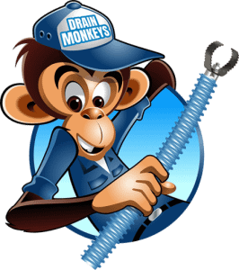 Drain Cleaning ABOUT US 3 drain monkeys logo number 2