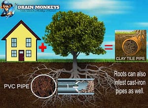 emergency drain cleang in kalamazoo mi service we clean roots inside a sewer main