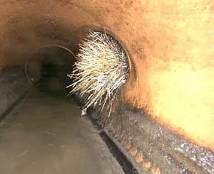 common causes of clogged sewers is roots grease scale and low spots