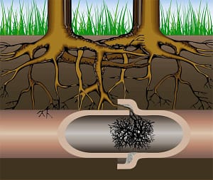 sewer company portage service cleaning out roots from a sewer pipe