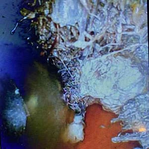clogged sewer that was inspected by using a tv video camera