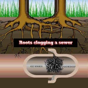 clogged sewer in kalamazoo roots inside a sewer drain pipe causing it to clog up