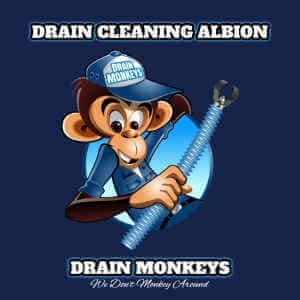 Drain Cleaning Drain Cleaning Albion 3 drain cleaning albion drain monkeys logo for albion michigan