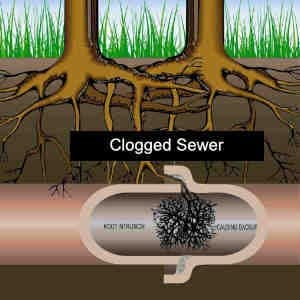 Drain Cleaning Drain Cleaning Otsego 5 drain cleaning otsego, mi service for your clogged sewer pipe
