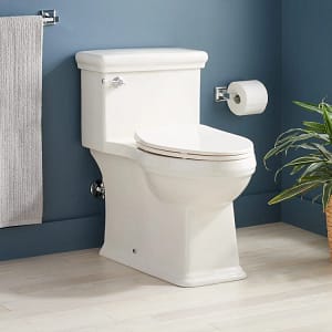 drain cleaning for a clogged toilet