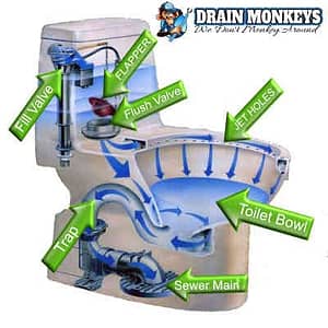 emergency drain cleaning in kalamazoo mi serviceng a clogged toilet