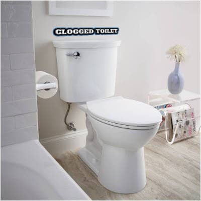 plumber for your clogged toilet
