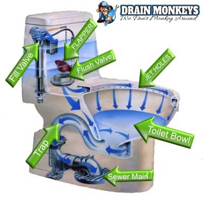 Kalamazoo Drain Cleaning Drain Cleaning Your Plumbing 12 Drain Cleaning Your Plumbing