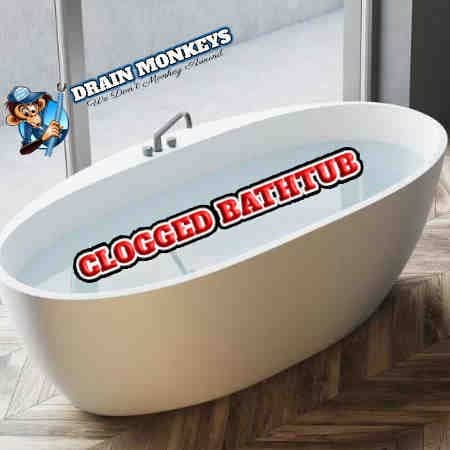clogged drains in grand rapids a backed up bathtub