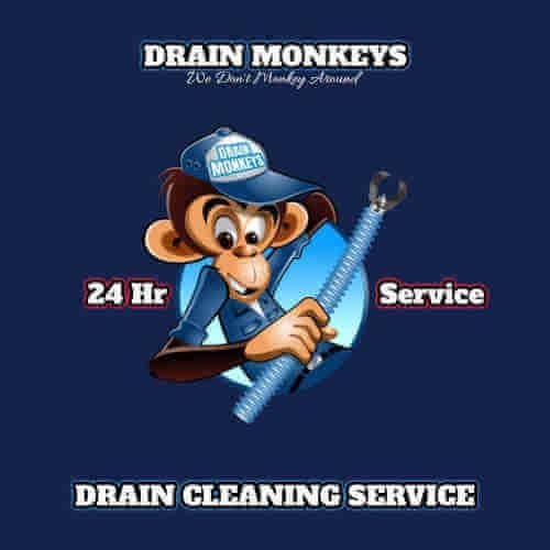 Drain Cleaning Plumbing In Kalamazoo 1 plumbing in kalamazoo darin monkeys logo for service
