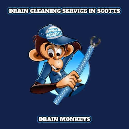 Drain Cleaning Drain Cleaning Service In Scotts 1 Our drain cleaning service in scotts michigan showing our logo for drain monkeys