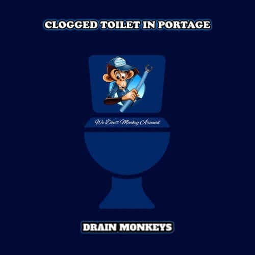 clogged toilet in portage drain monkeys logo for servicing a stool
