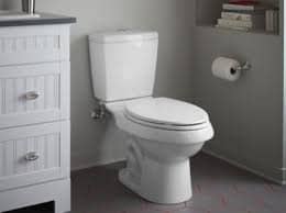 clogged drain in the trap of the toile