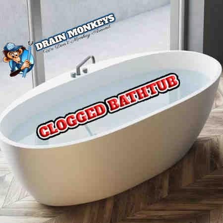 clogged drains in grand rapids a backed up bathtub