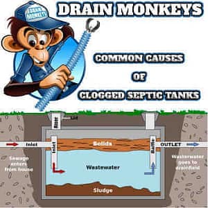 The Most Common Causes Of A Clogged Septic Tank - How To Fix