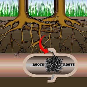 when we are drain cleaning in mendon we have found that the common cause of a clogged sewer is roots