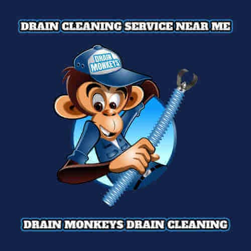 drain cleaning service near me drain monkeys logo holding a drain cable